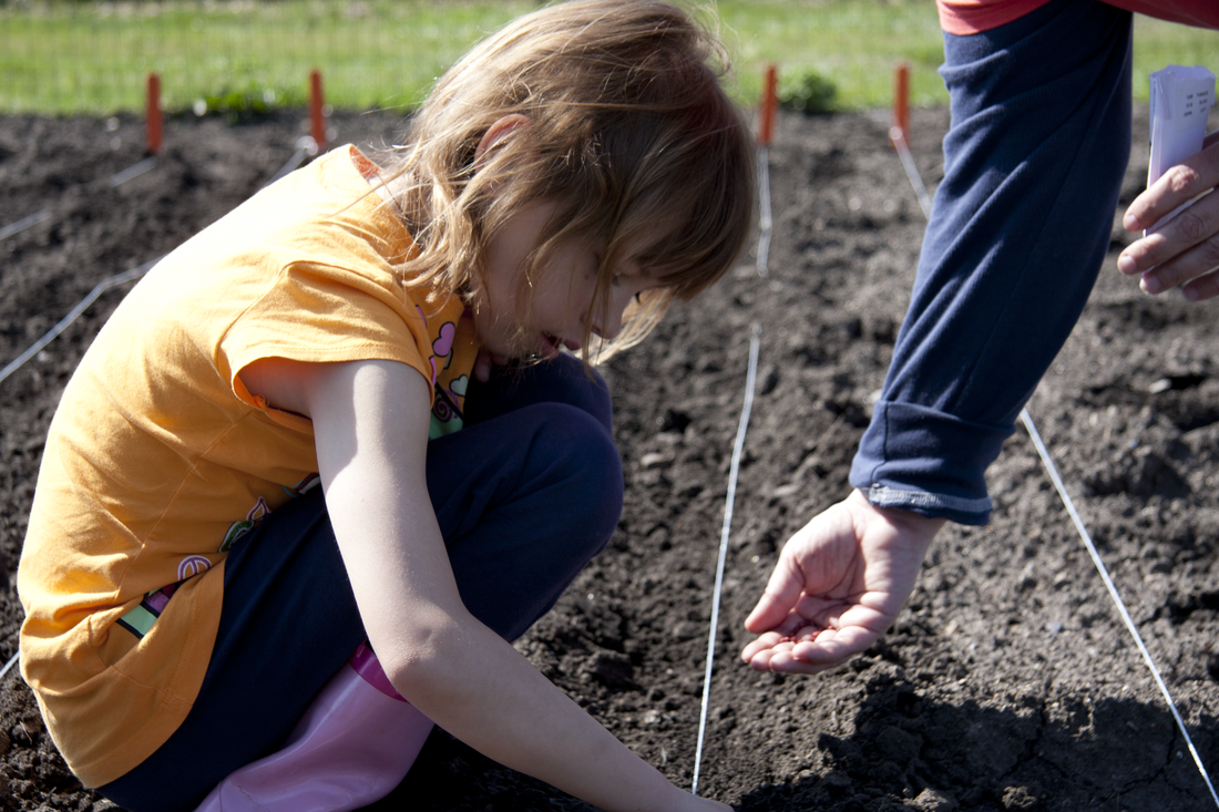 A man guides a young girl as she plants seeds, showcasing their shared journey of learning and growing together.