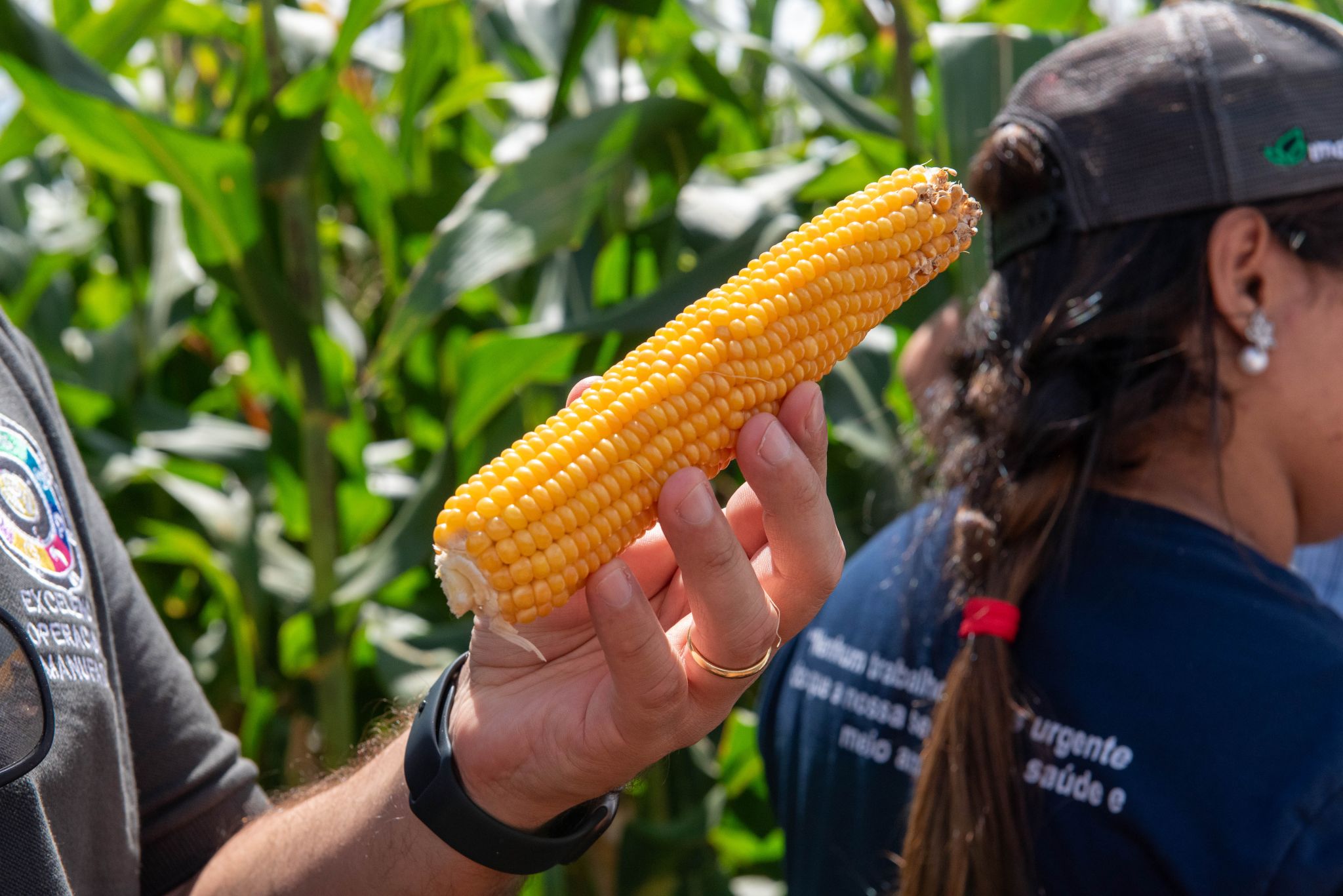 A man holds an ear of corn.